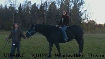 MISSING EQUINE Windwalker Dreams, Near Motley, MN, 56466